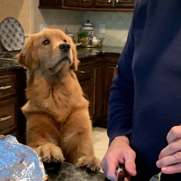 Meet your Posher, Dawn - Picture 12 of 12